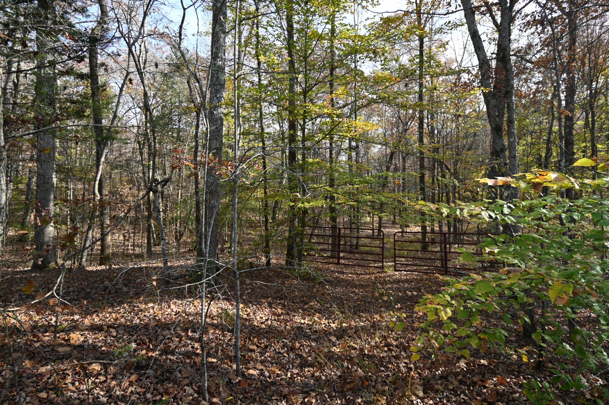 2383 Airport Ridge Road Linden, TN 37096 - Photo 34 of 64
