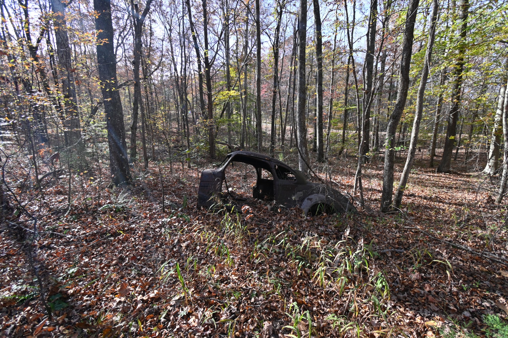 2383 Airport Ridge Road Linden, TN 37096 - Photo 37 of 64