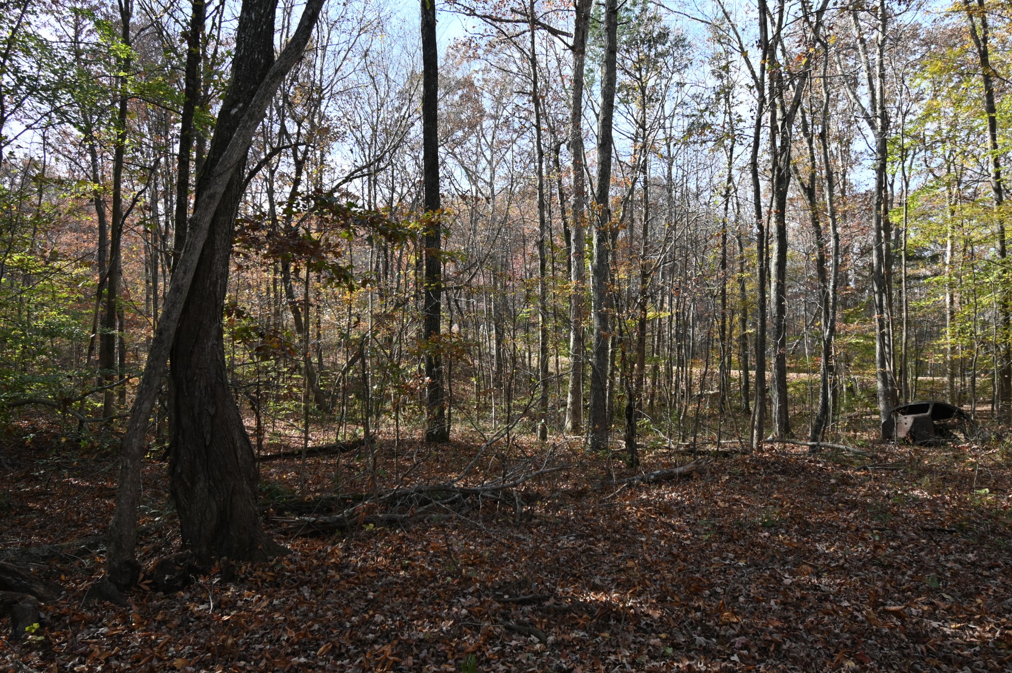 2383 Airport Ridge Road Linden, TN 37096 - Photo 40 of 64