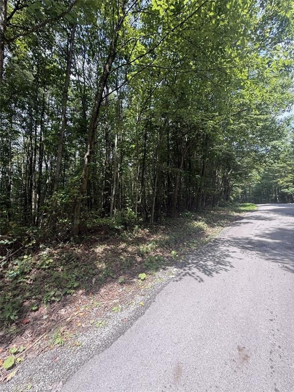 69 Mt Tabor Road Connellsville, PA 15425 - Photo 2 of 4 a view of a yard with a tree
