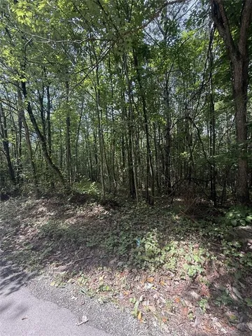 a view of outdoor space and trees