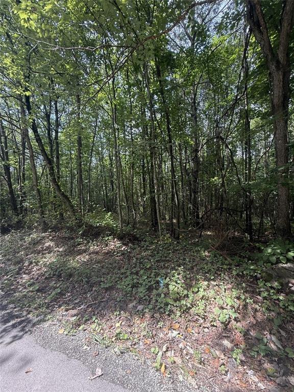 69 Mt Tabor Road Connellsville, PA 15425 - Photo 3 of 4 a view of outdoor space and trees