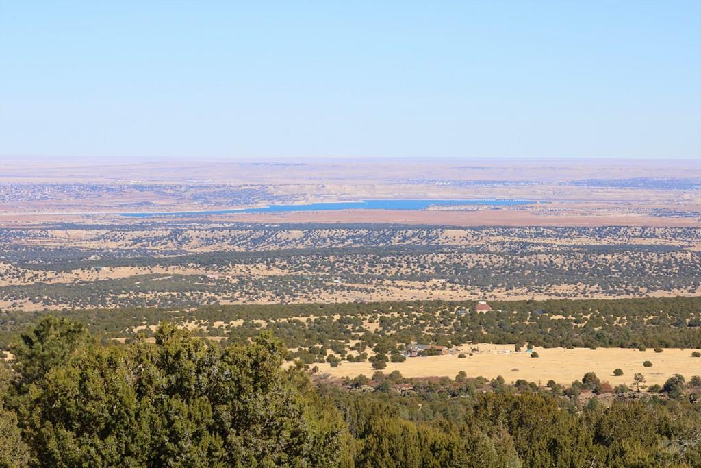 8470 Savage Road Beulah, CO 81023 - Photo 13 of 29 Gallery Image 13