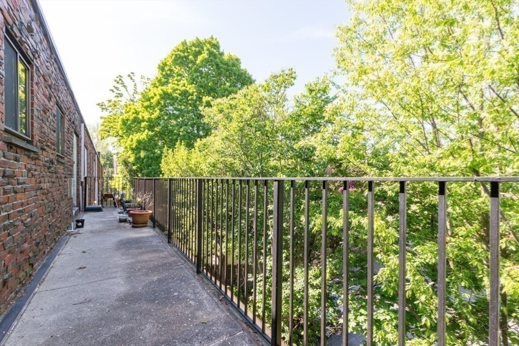57 St Paul Street, Unit 19 Brookline, MA 02446 - Photo 18 of 23 a view of a pathway of a garden