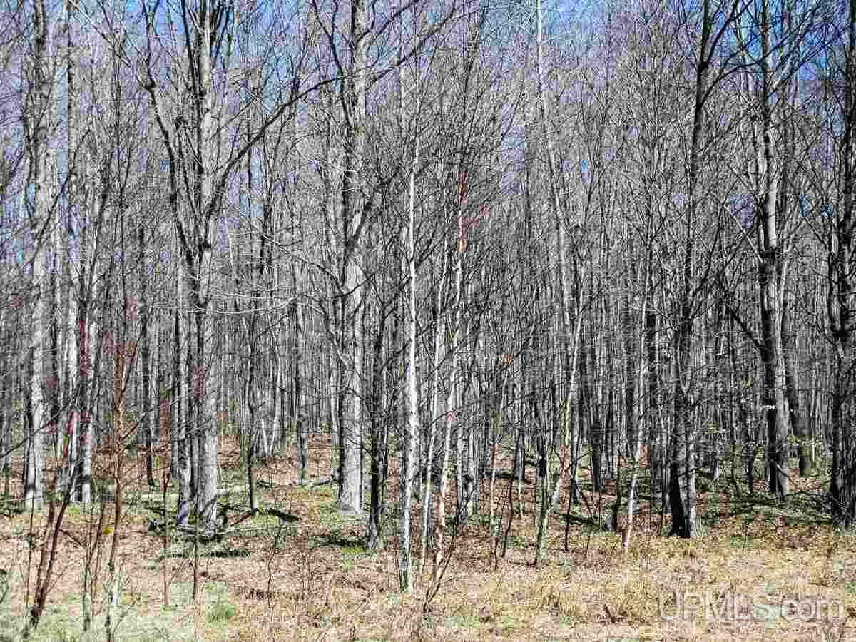 3662 Quarry Road Gulliver, MI 49840 - Photo 3 of 16 Gallery Image 3