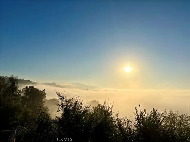 a view of ocean and trees