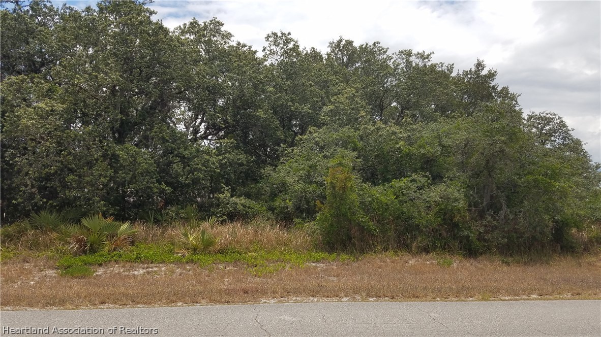 2133 North Cochrane Road Avon Park, FL 33825 - Photo 1 of 1 Gallery Image 1