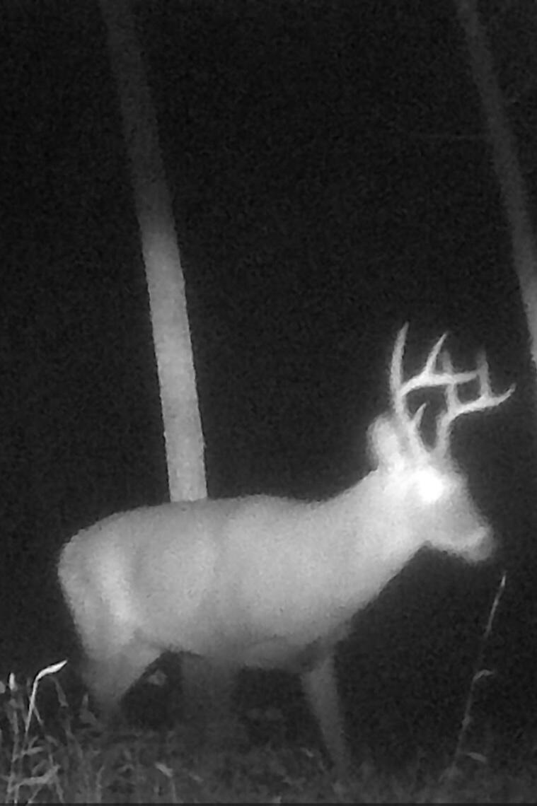 9999 Reed Branch Road Manchester, KY 40962 - Photo 2 of 48 IMG_7456
