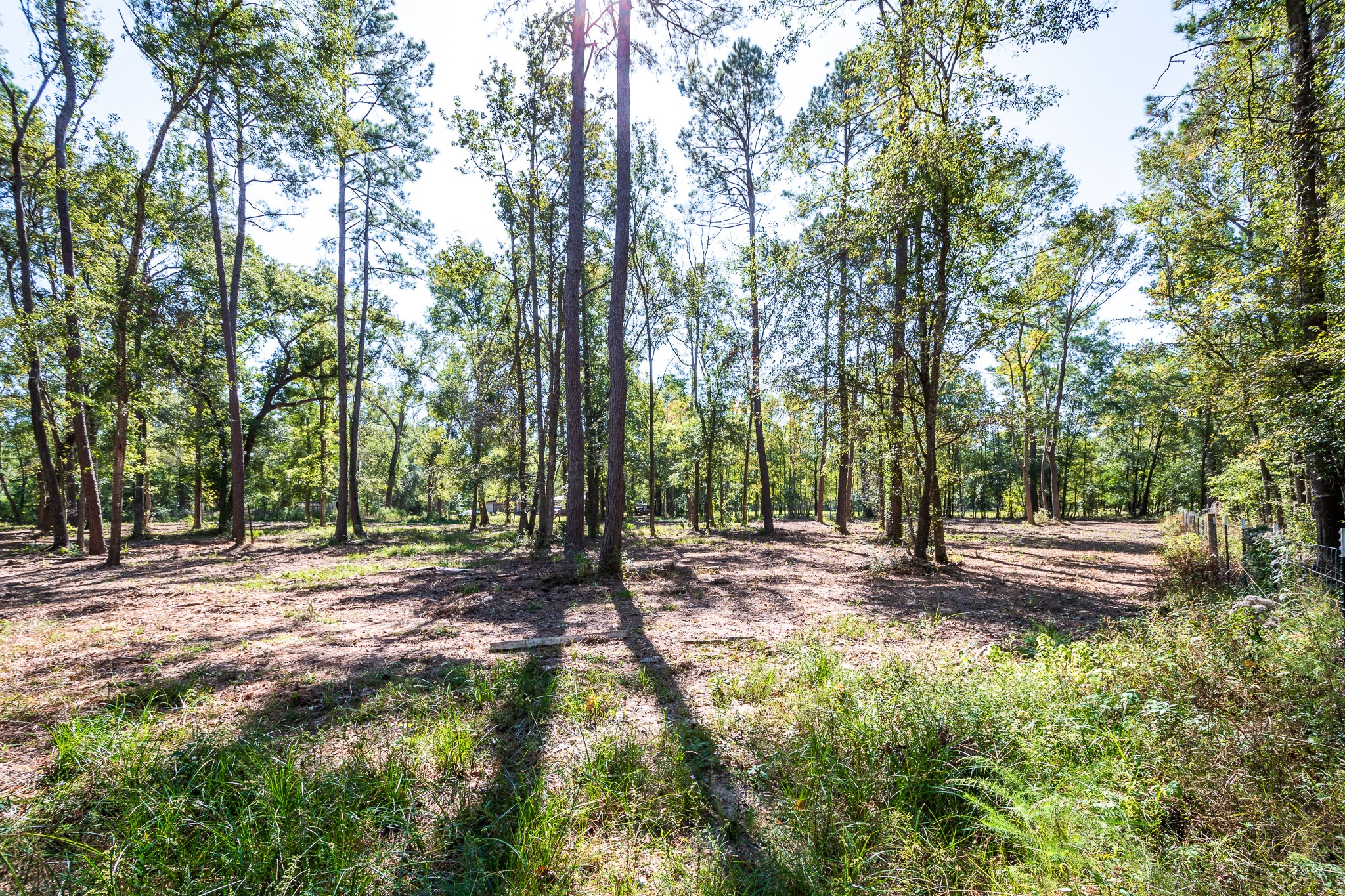 0 Dulaney Street Splendora, TX 77372 - Photo 8 of 9