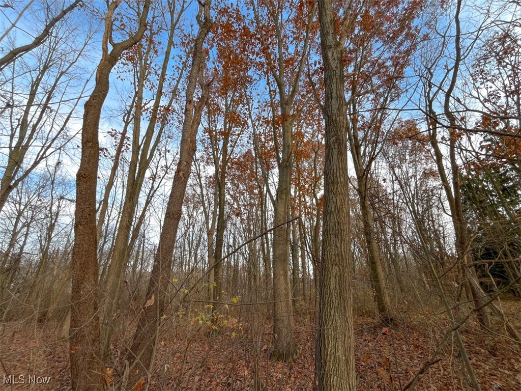 0 Harvey Circle Rittman, OH 44270 - Photo 12 of 35 View of local wilderness