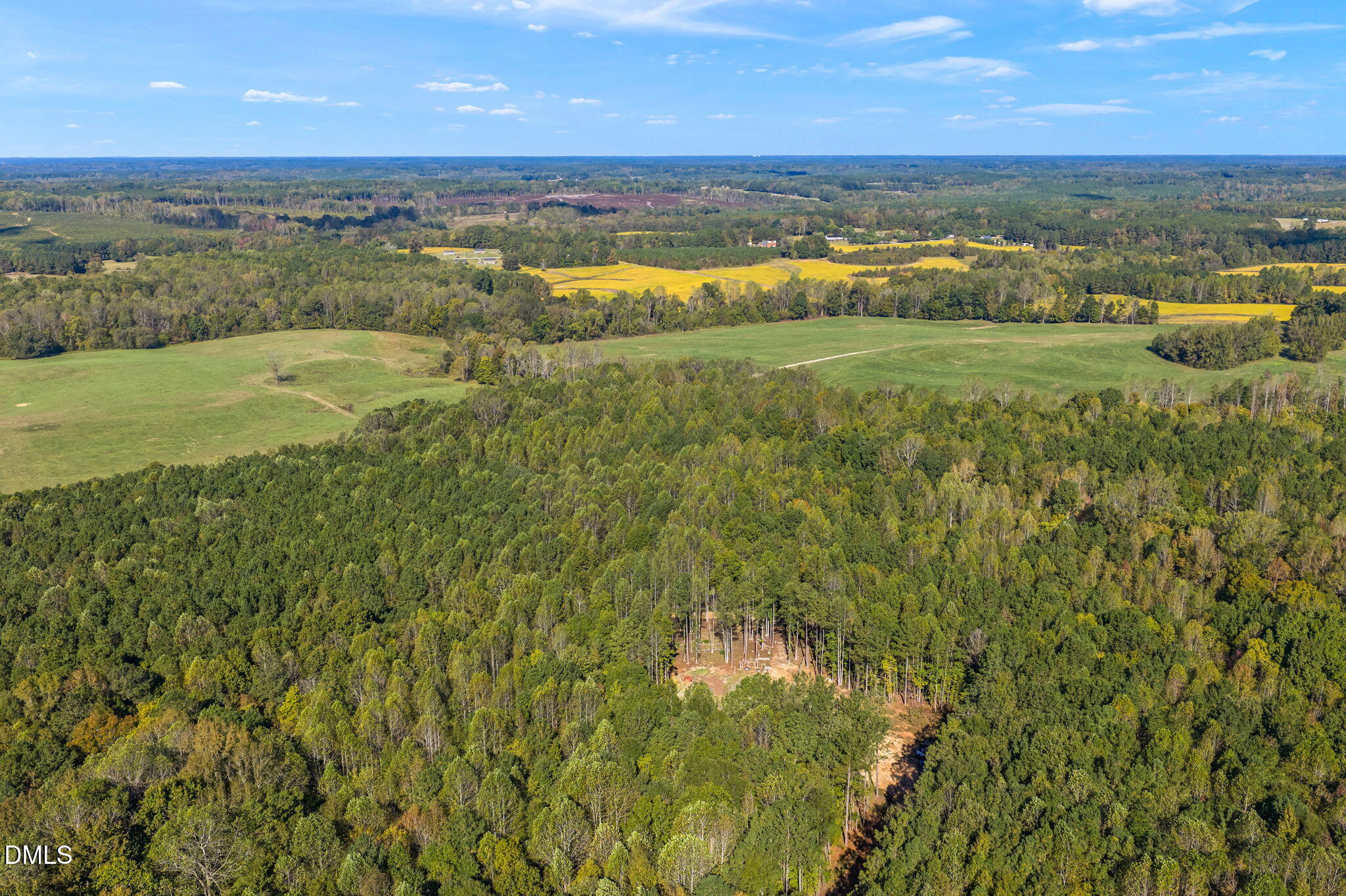 0 Perdues Road Louisburg, NC 27549 - Photo 23 of 26 23-web-or-mls-untitled-22