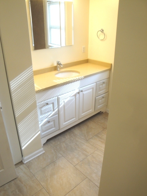 4515 Ashley Drive McHenry, IL 60050 - Photo 23 of 28 a bathroom with a granite countertop sink and a bathtub