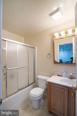 a bathroom with a sink a toilet and mirror