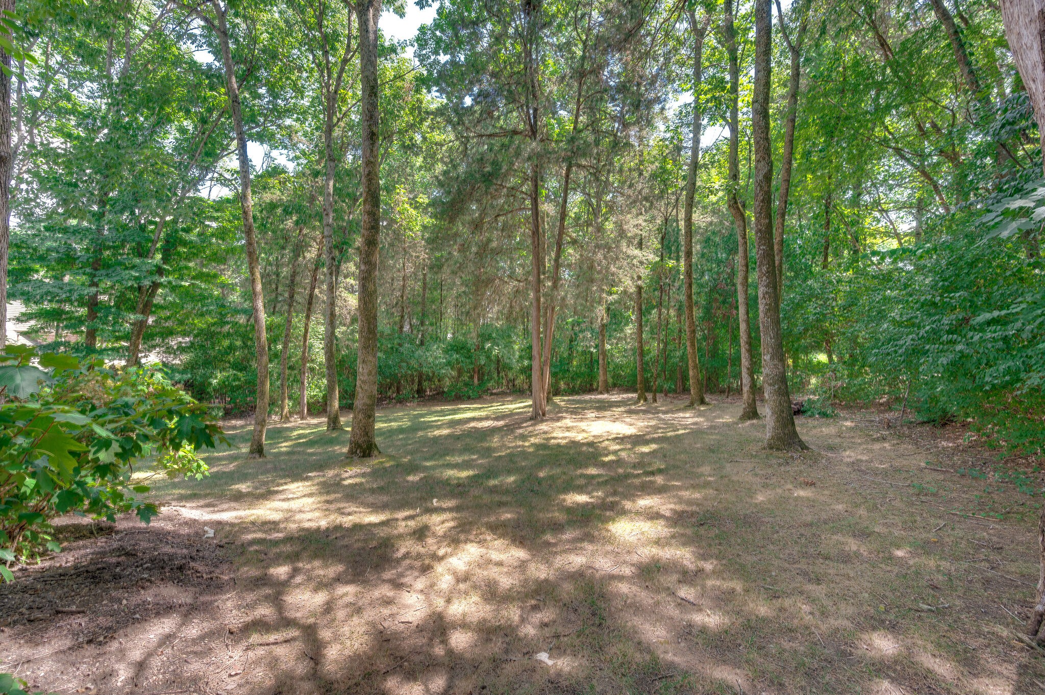 1073 Vaughn Crest Boulevard Franklin, TN 37069 - Photo 64 of 70 a view of a forest with trees in the background