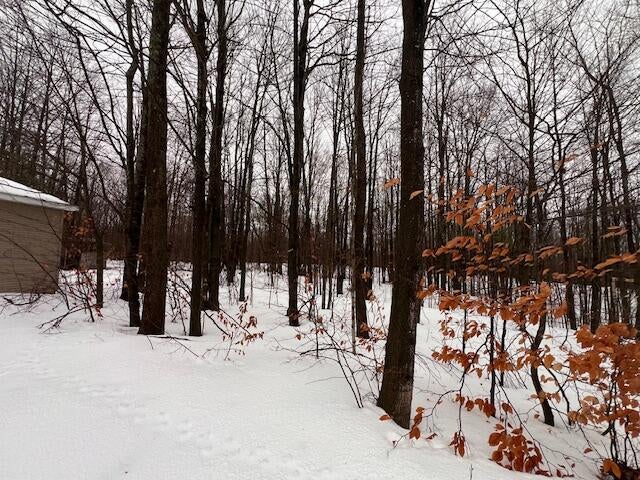 3833 Valley Road Levering, MI 49755 - Photo 29 of 35 IMG_8391
