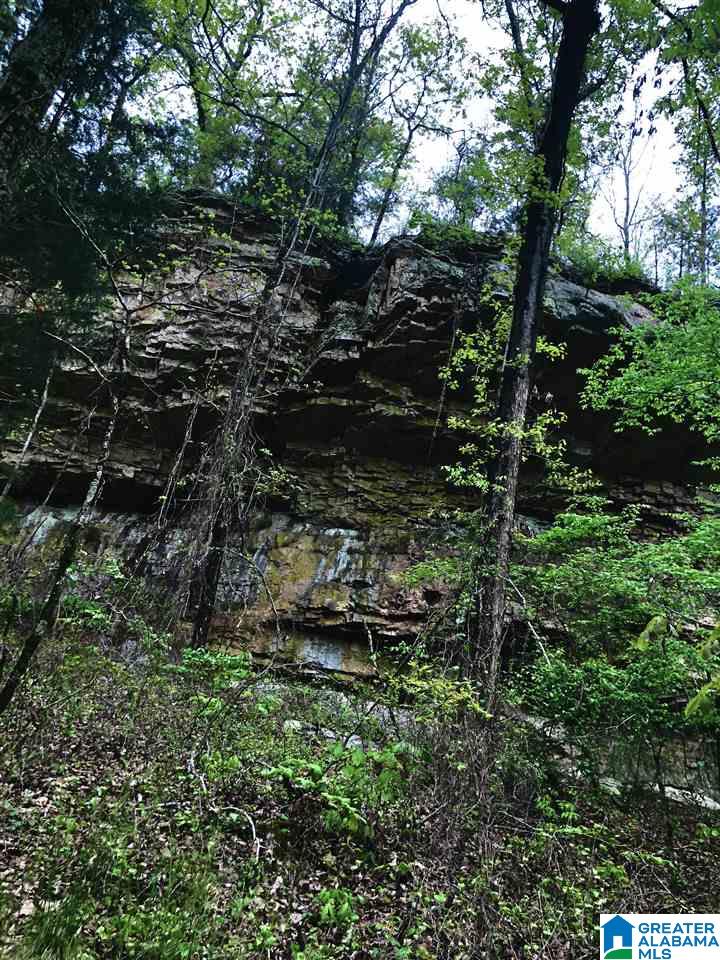 20855 Highway 11 Steele, AL 35987 - Photo 10 of 10