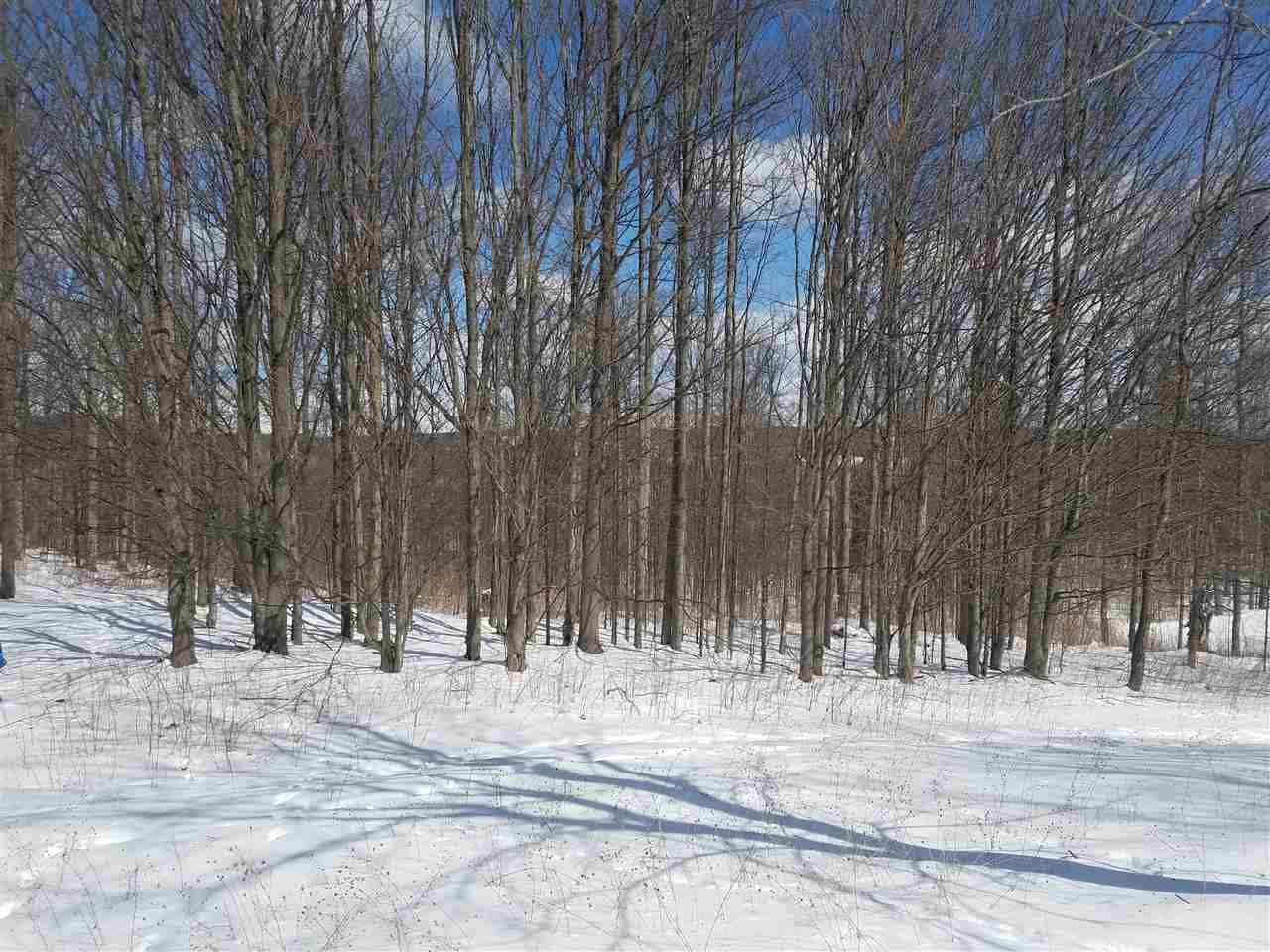 2412 South 15 Road Harrietta, MI 49638 - Photo 23 of 42 1844609-22.JPG