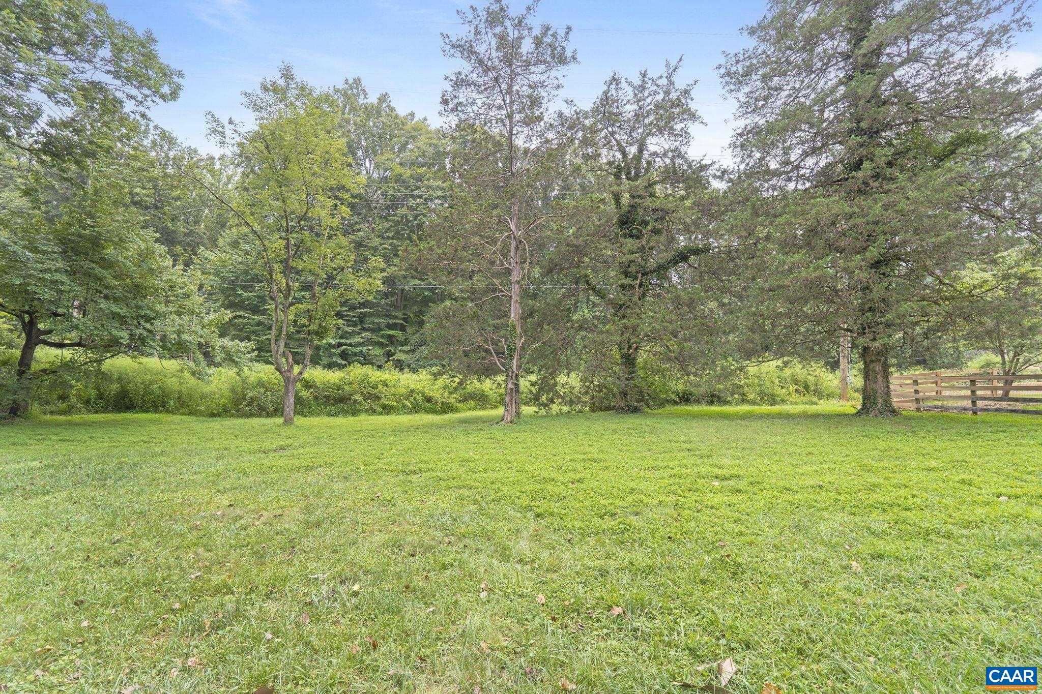 1606 Grove Road Charlottesville, VA 22901 - Photo 52 of 52 a view of a trees in a yard