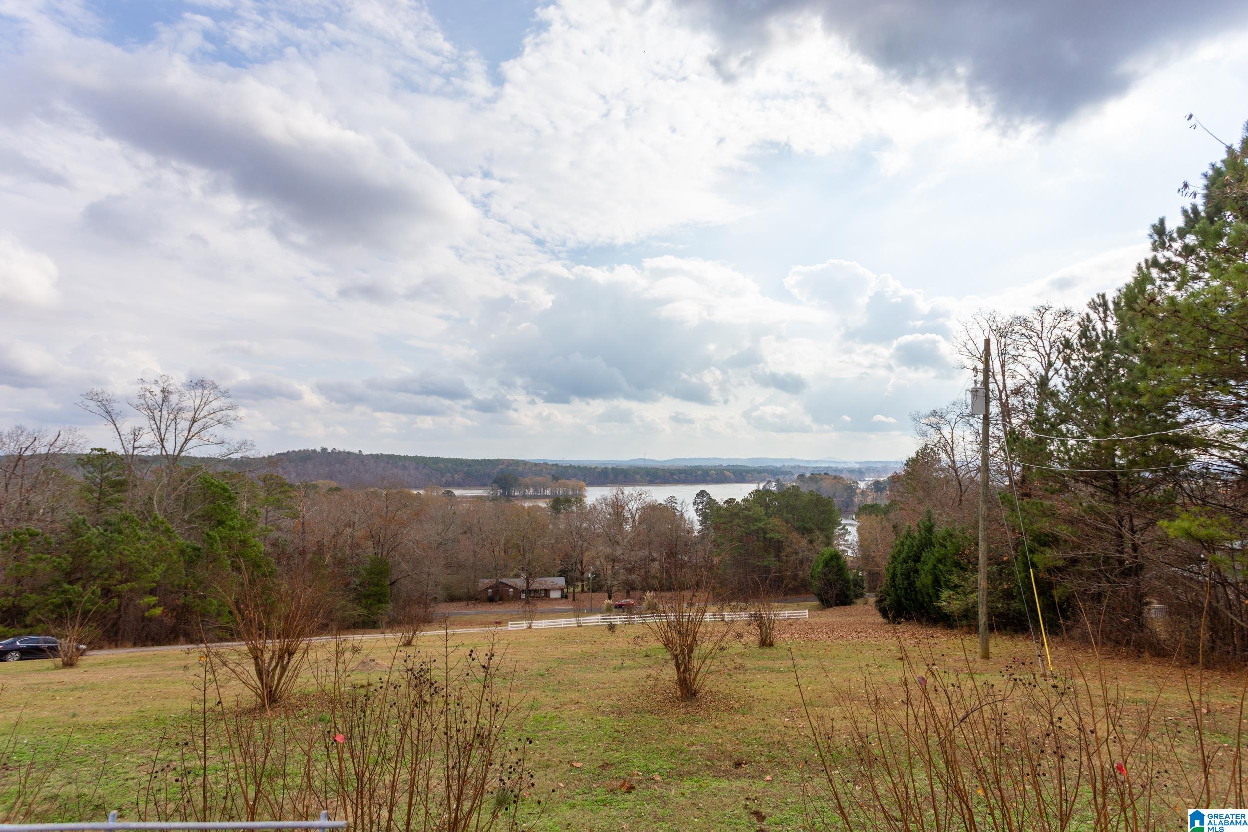 443 Lock 4 Road Riverside, AL 35135 - Photo 32 of 43