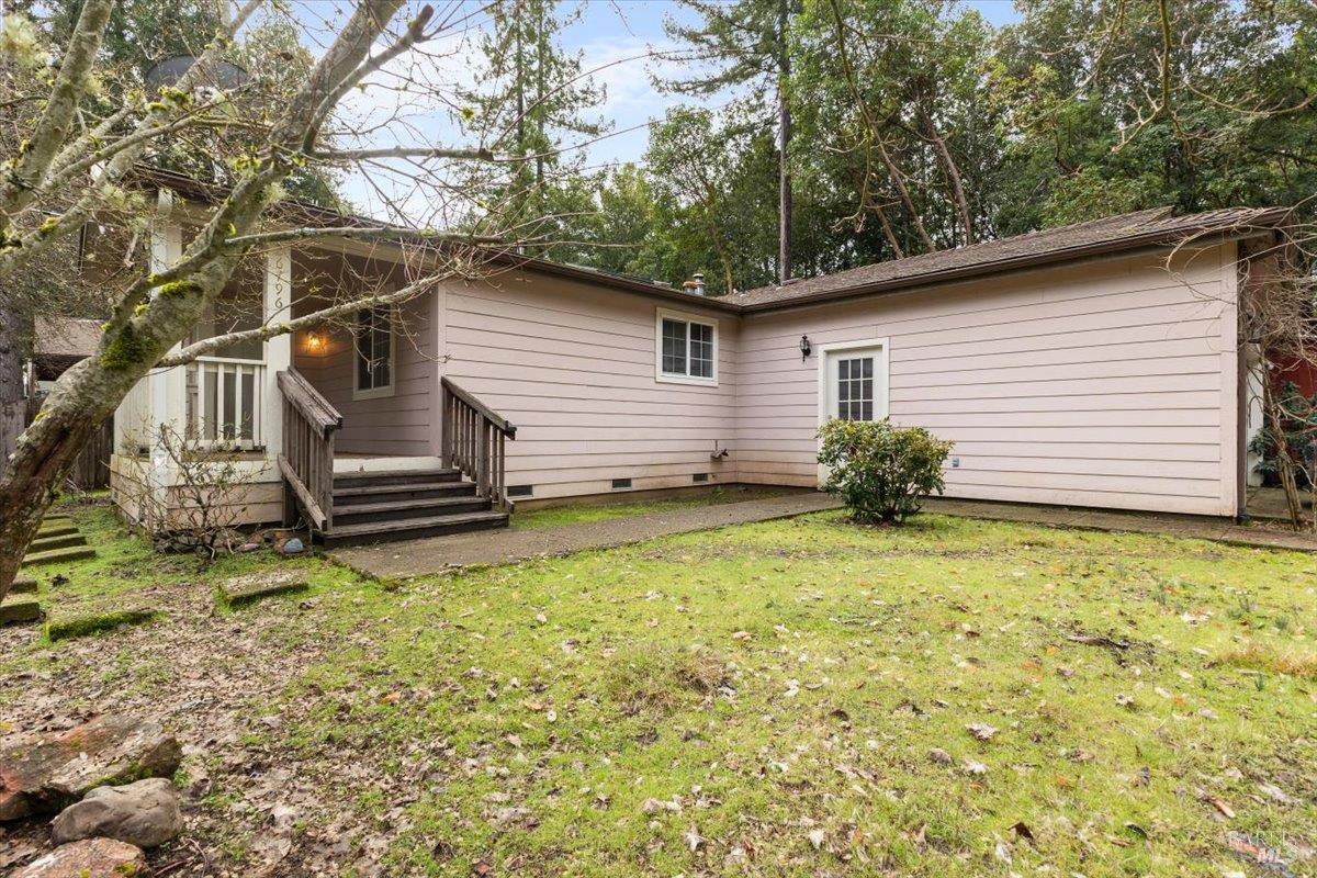 a view of a backyard with plants and a large tree