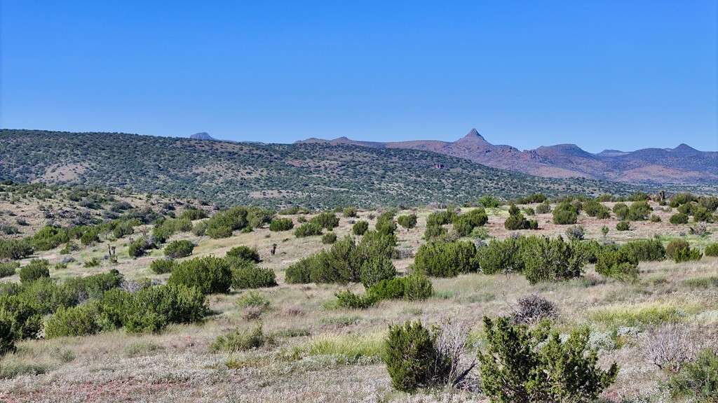 111 Sierra La Rana Alpine, TX 79830 - Photo 3 of 13 Photo 3