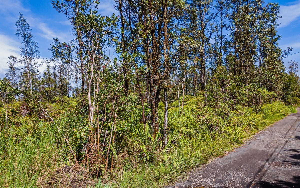 2932 Ao Road Mountain View, HI 96771 - Photo 2 of 9 Gallery Image 2