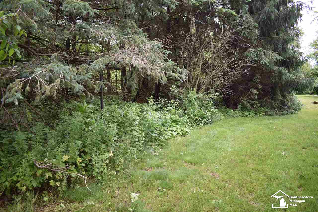 9970 Allison Road Maybee, MI 48159 - Photo 27 of 32 50077411-26.JPG