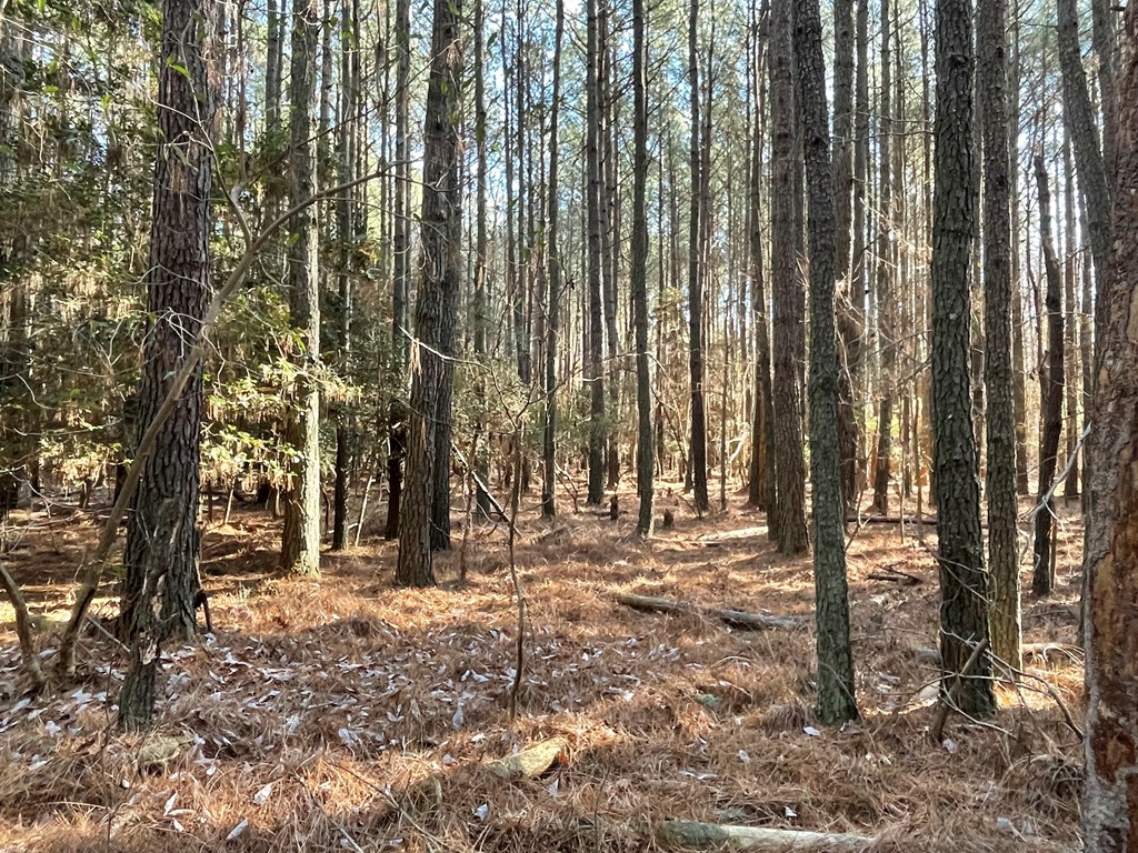 30.5 Elmore Road, Unit 2A2B Painter, VA 23420 - Photo 19 of 28
