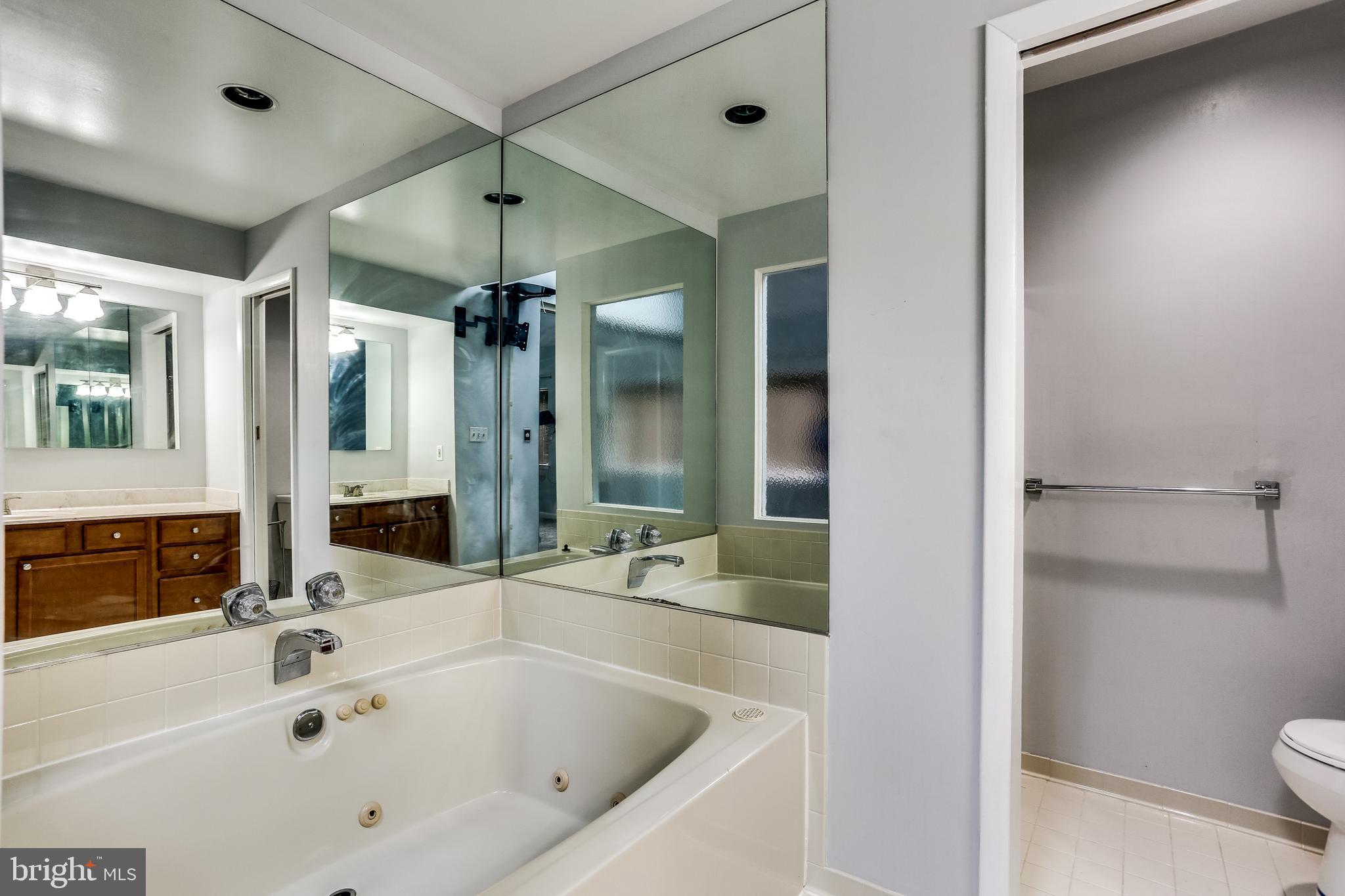 5534 Vantage Point Road Columbia, MD 21044 - Photo 8 of 22 Primary bedroom soaking tub
