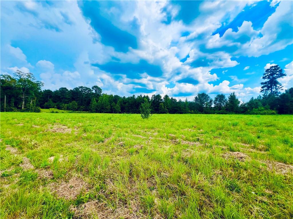 0 Taylor Chapel Road Trout, LA 71371 - Photo 1 of 7 Gallery Image 1