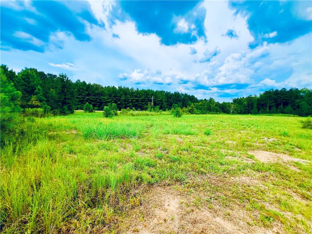 0 Taylor Chapel Road Trout, LA 71371 - Photo 2 of 7 Gallery Image 2