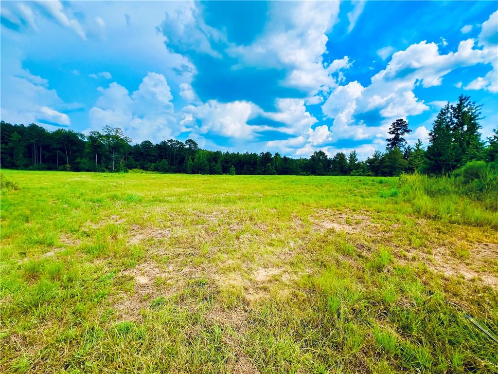0 Taylor Chapel Road Trout, LA 71371 - Photo 4 of 7 Gallery Image 4