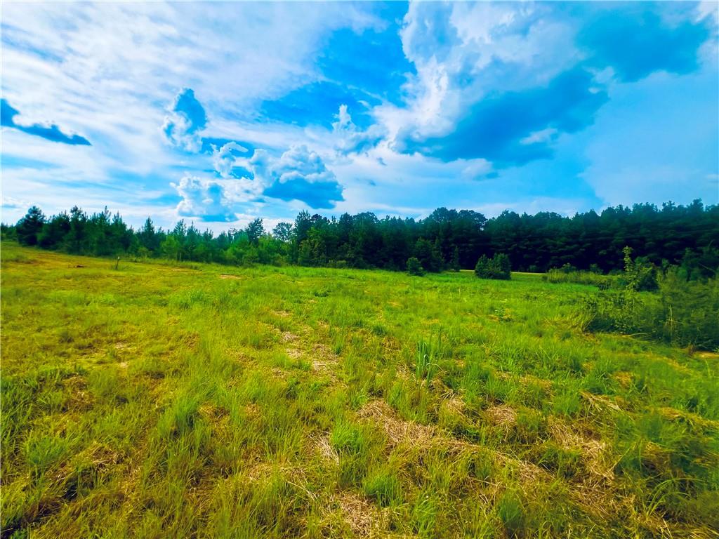 0 Taylor Chapel Road Trout, LA 71371 - Photo 5 of 7 Gallery Image 5
