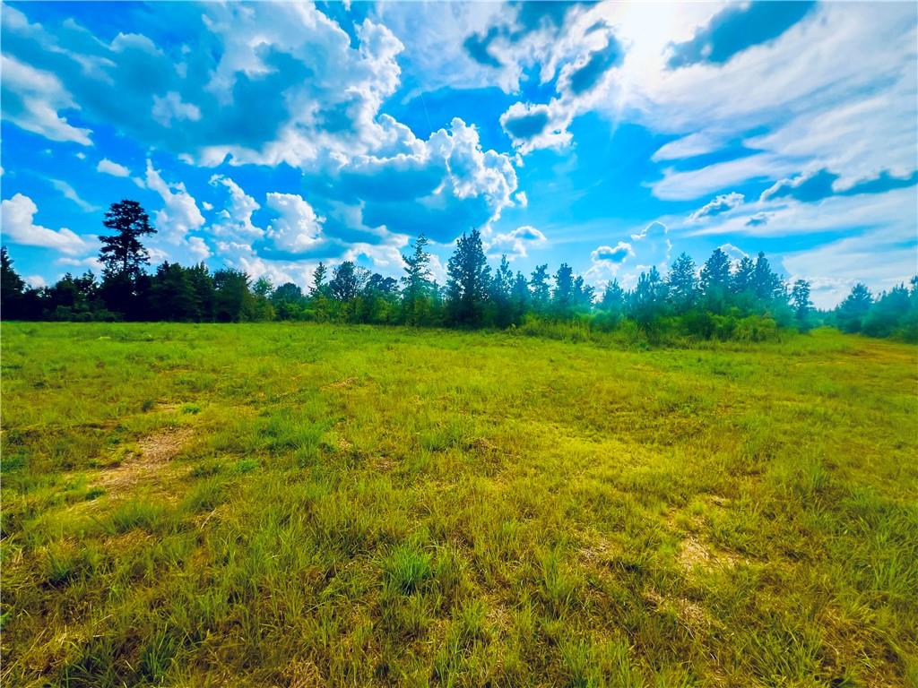 0 Taylor Chapel Road Trout, LA 71371 - Photo 6 of 7 Gallery Image 6