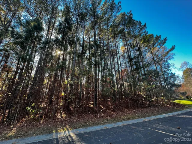 a view of a yard with plants and trees