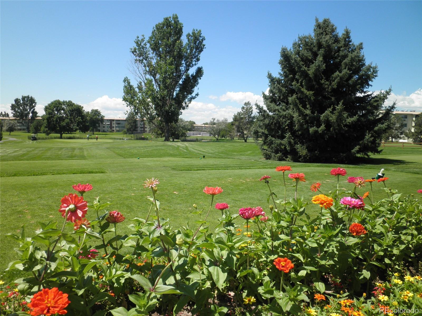 9155 Center Avenue, Unit 2D Denver, CO 80247 - Photo 35 of 50 a view of a flower in a garden