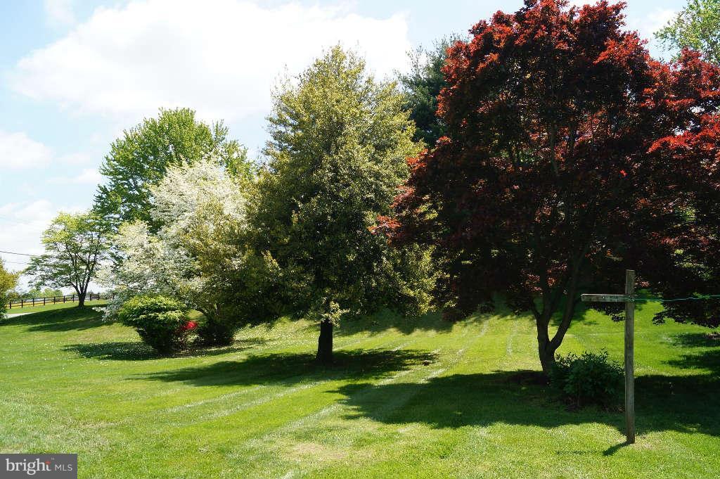 7985 Martown Road Laurel, MD 20723 - Photo 19 of 20 Yard