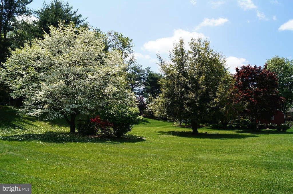 7985 Martown Road Laurel, MD 20723 - Photo 20 of 20 Yard