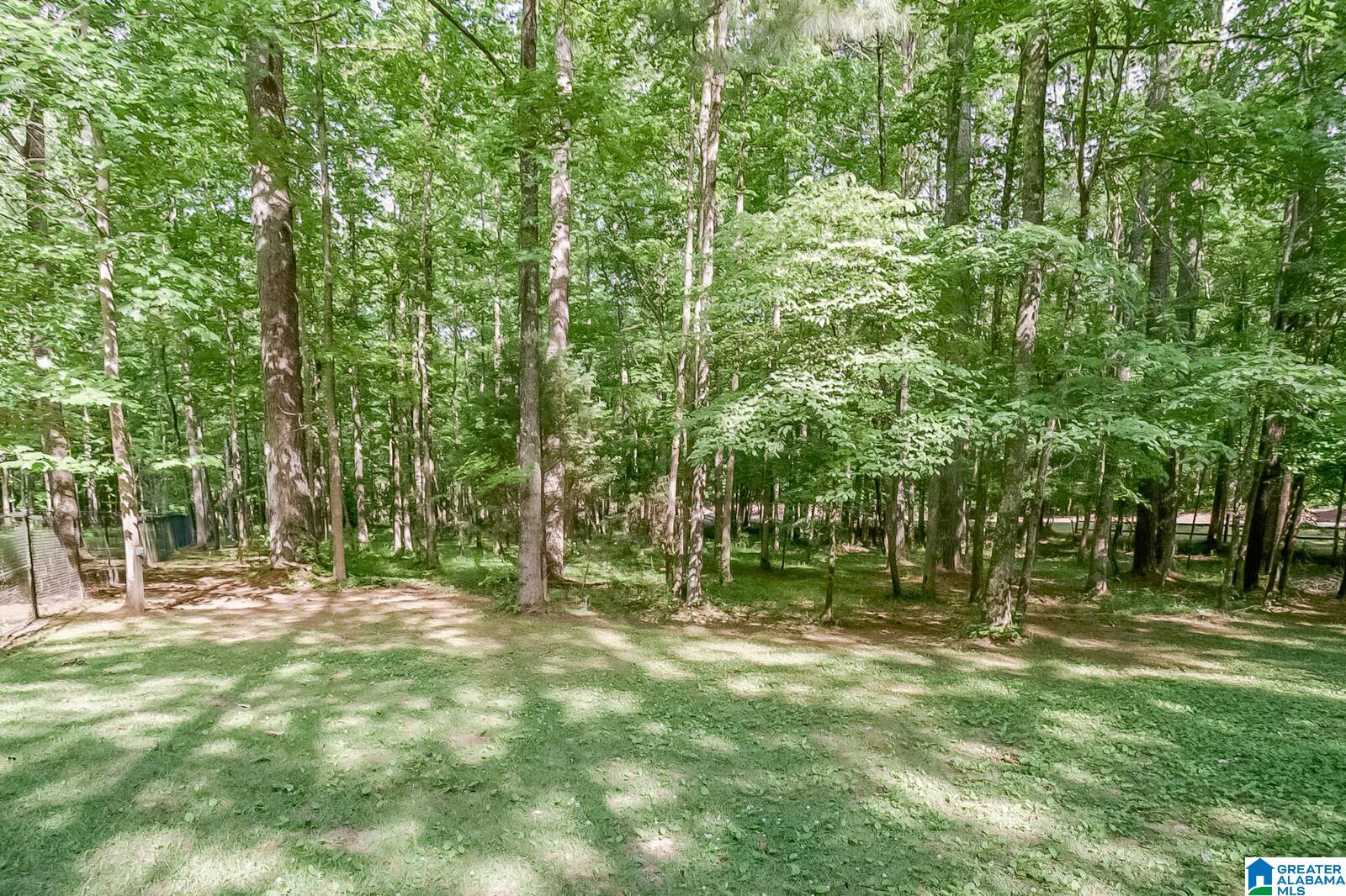 6867 Deer Haven Road Pinson, AL 35126 - Photo 36 of 50