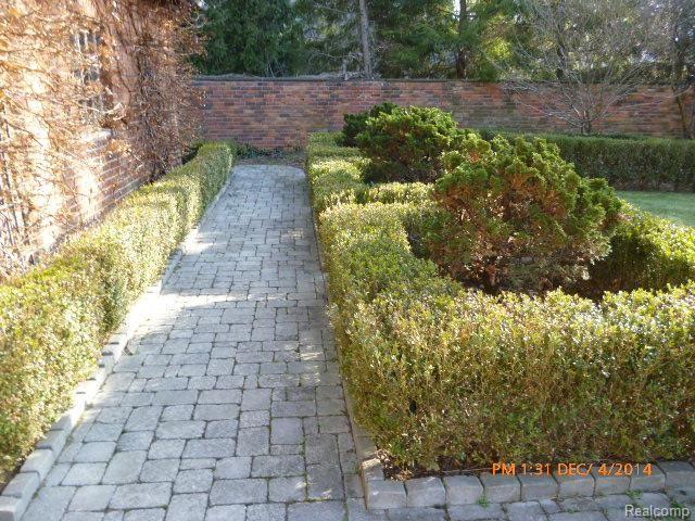back yard