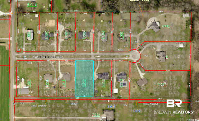 0 Cape Fear Boulevard Foley, AL 36535 - Photo 14 of 15