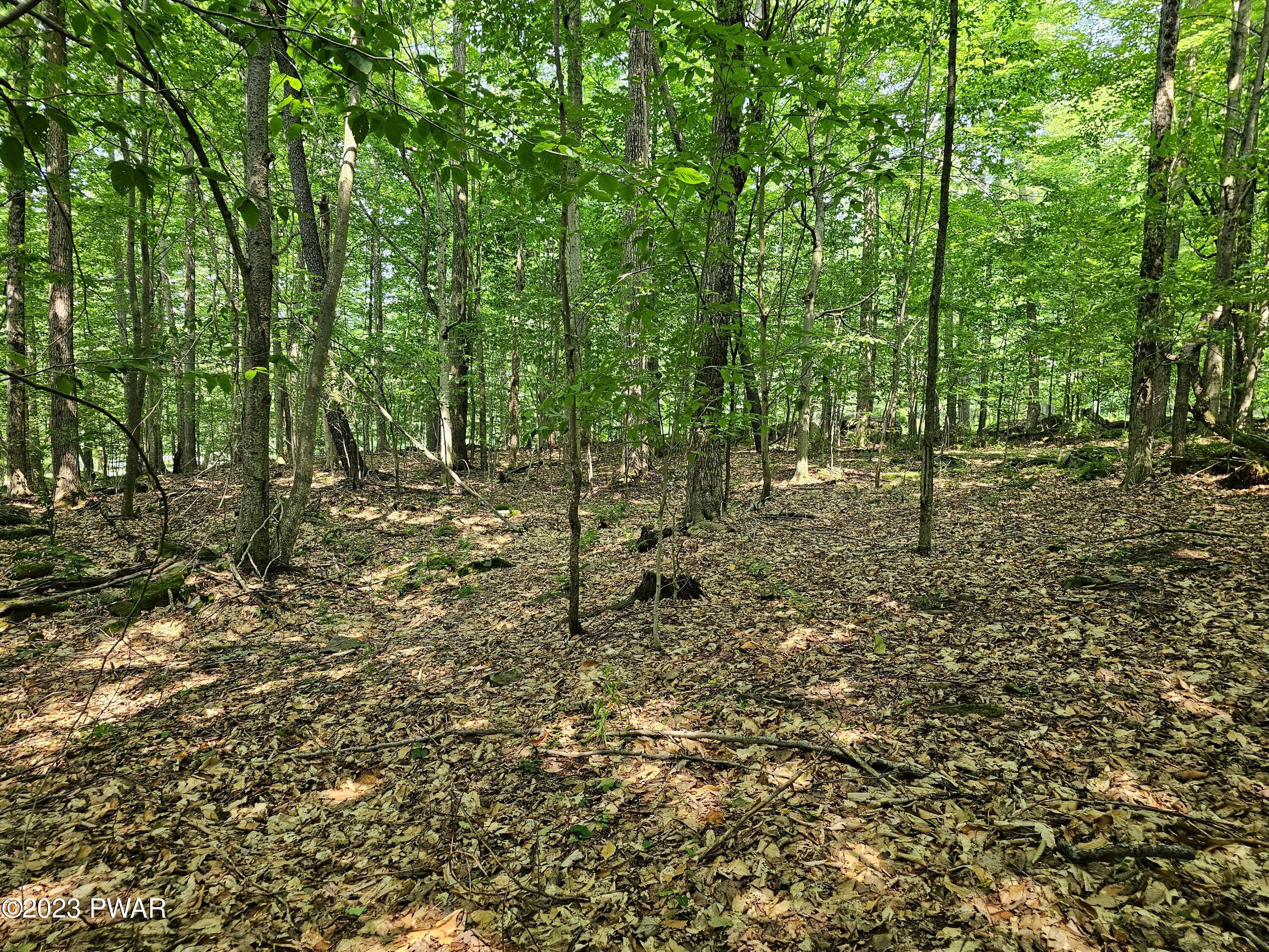 Lot 61 Rock Run Road Damascus, PA 18415 - Photo 25 of 56