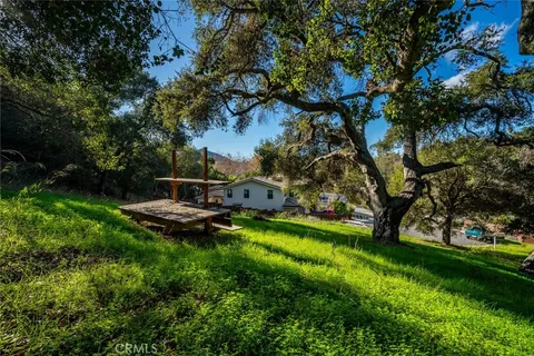 a view of a garden with a bench and trees
