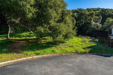 a view of backyard with green space