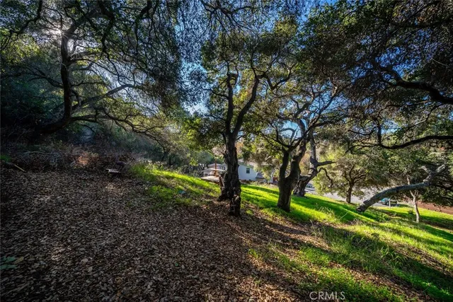 a view of outdoor space