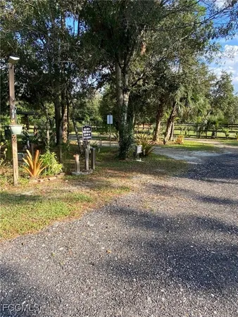 a view of a yard with large trees