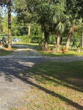 a view of a yard