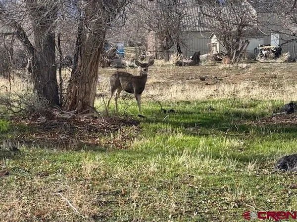 $278,000 | 320 Southwest 8th Avenue, Cedaredge, CO 81413