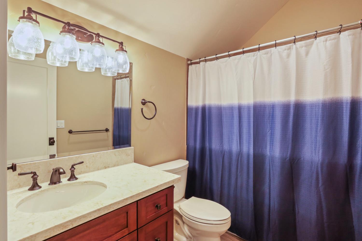 18739 Clements Road Lodi, CA 95240 - Photo 26 of 39 a bathroom with a sink a toilet a mirror and shower curtain