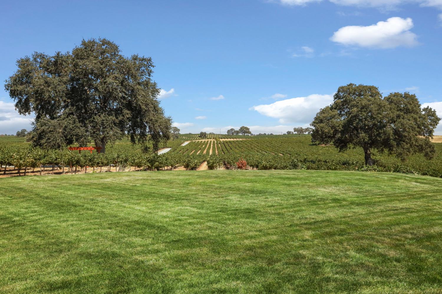 18739 Clements Road Lodi, CA 95240 - Photo 29 of 39 a view of a grassy field with trees